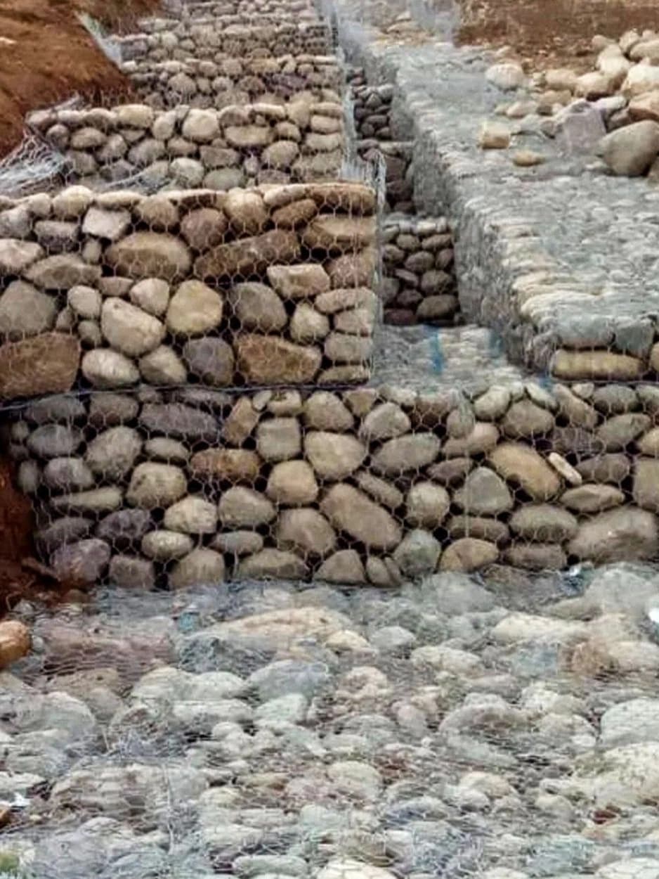مالون کاری در گیلان